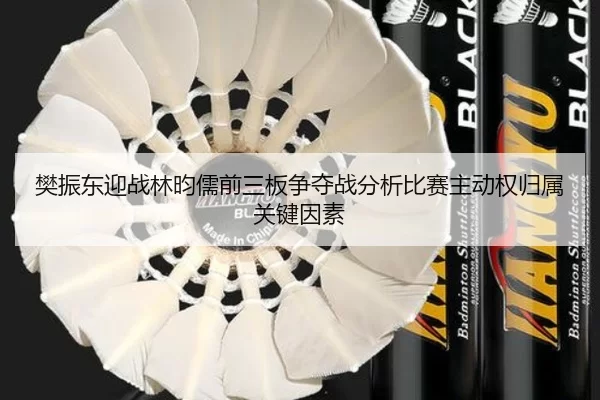 樊振东迎战林昀儒前三板争夺战分析比赛主动权归属关键因素